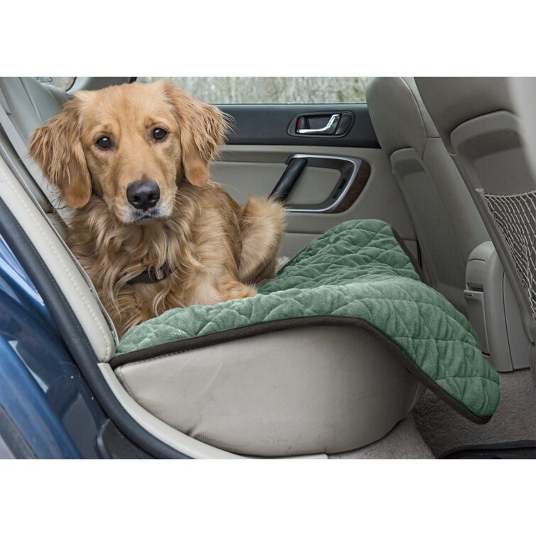 Self warming best sale dog blanket